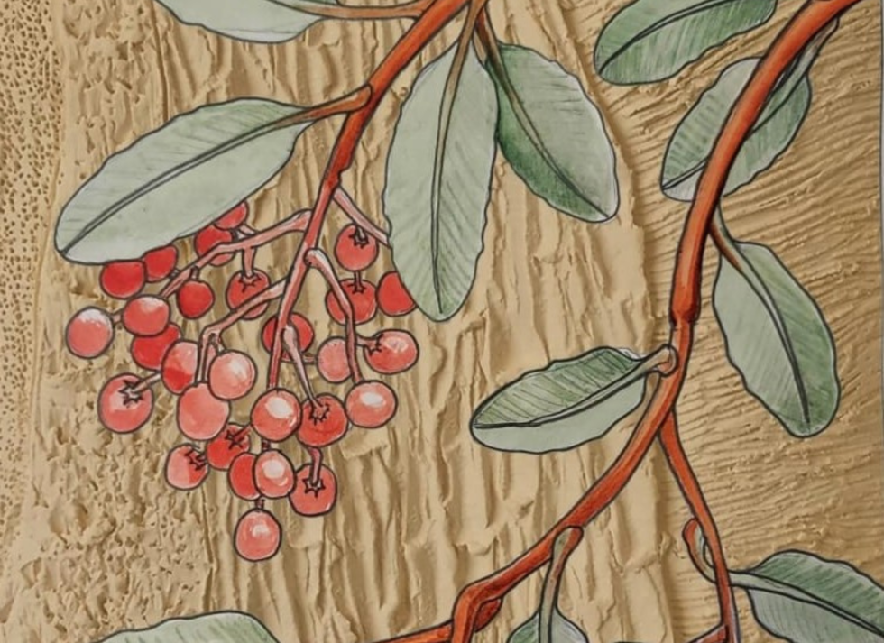 Camarillo Public Library